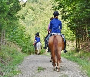 Le Domaine Des Bans : Equitation